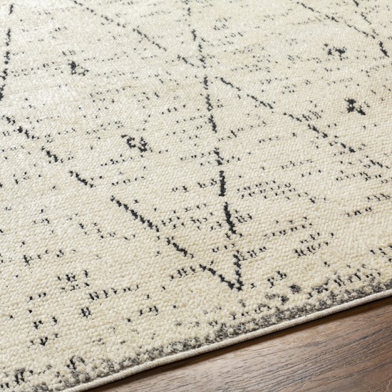 Surya La Boheme Lhb-2304 Rug 2'2" X 3'9"