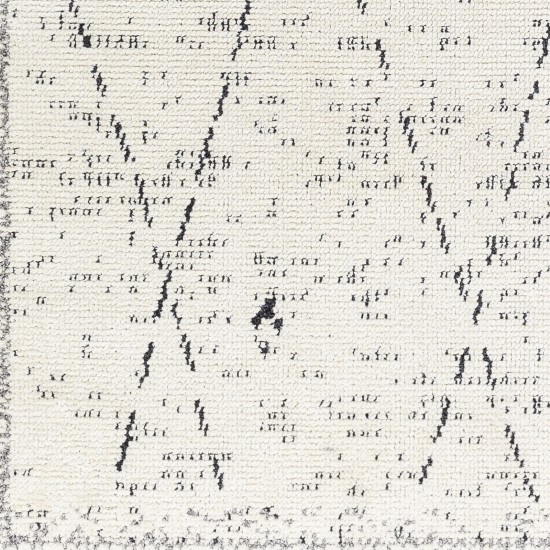 Surya La Boheme Lhb-2304 Rug 2'2" X 3'9"