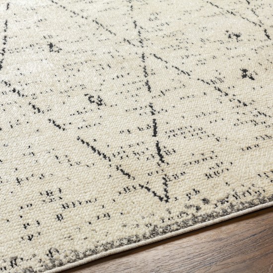 Surya La Boheme Lhb-2304 Rug 2'7" X 10'