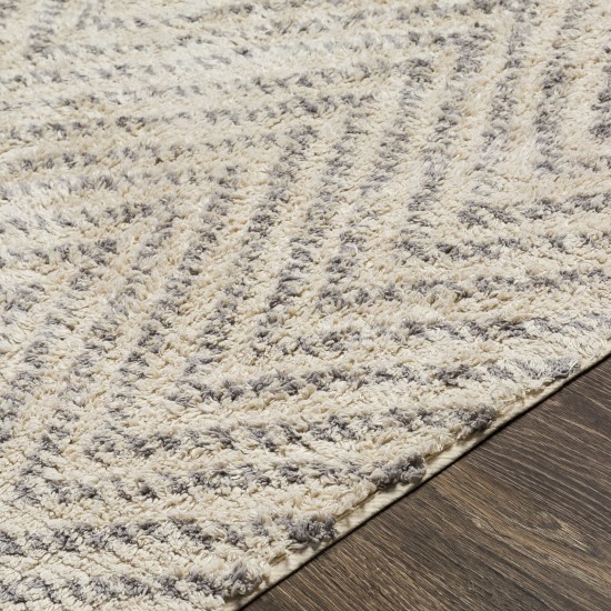 Surya Khemisset Kms-2303 Gray Rug 2'6" X 4'