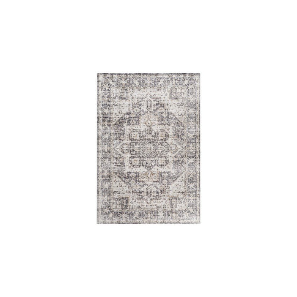 Surya Lavable Lvb-2308 Rug 2' X 3'