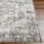 Surya Lavable Lvb-2308 Rug 2' X 3'