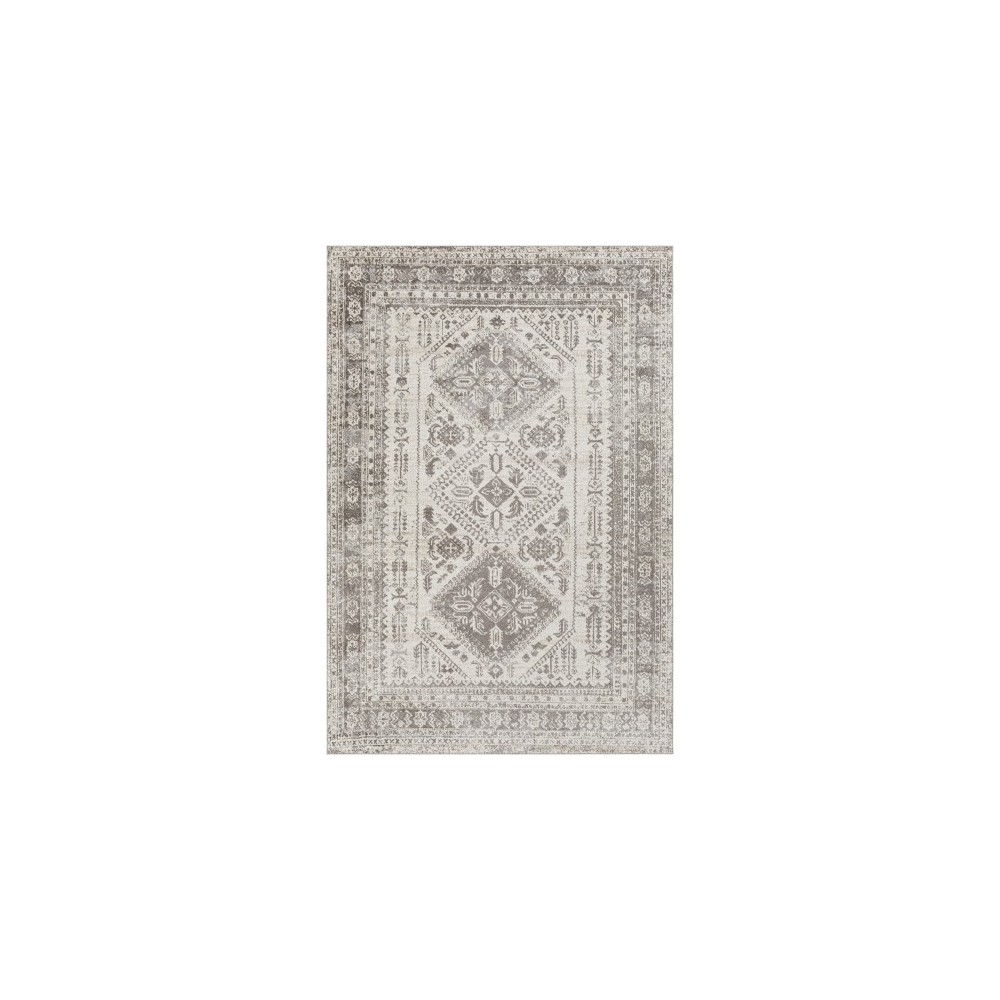 Surya Lavadora Lvr-2301 Dark Brown Rug 6'7" X 9'