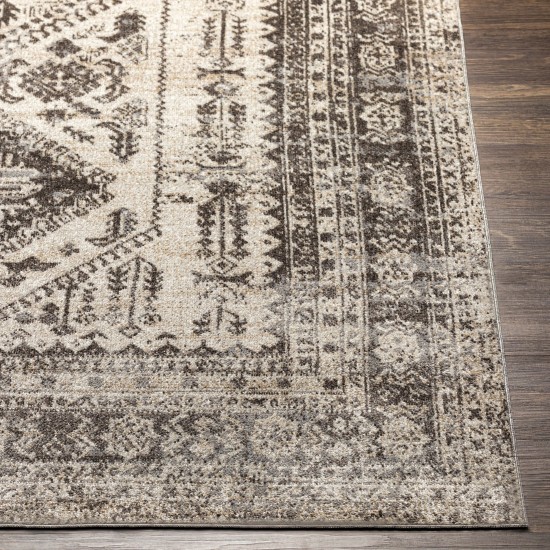 Surya Lavadora Lvr-2301 Dark Brown Rug 6'7" X 9'