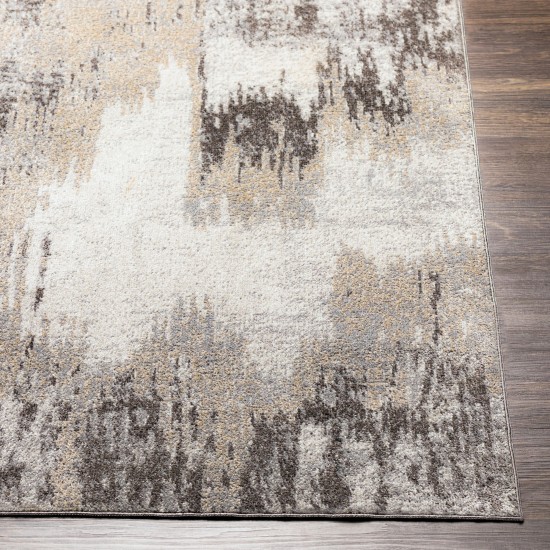 Surya Lavadora Lvr-2315 Taupe Rug 7'10" X 10'