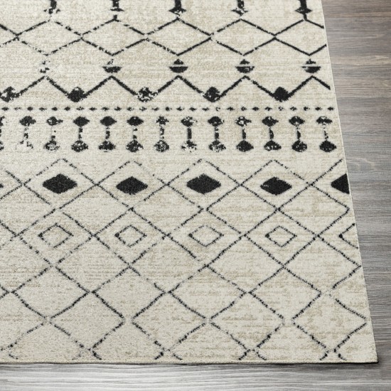 Surya Lavadora Lvr-2336 Black Rug 2'7" X 7'3"