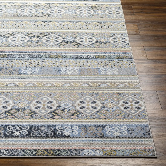 Surya Lavadora Lvr-2349 Rug 6'7" X 9'