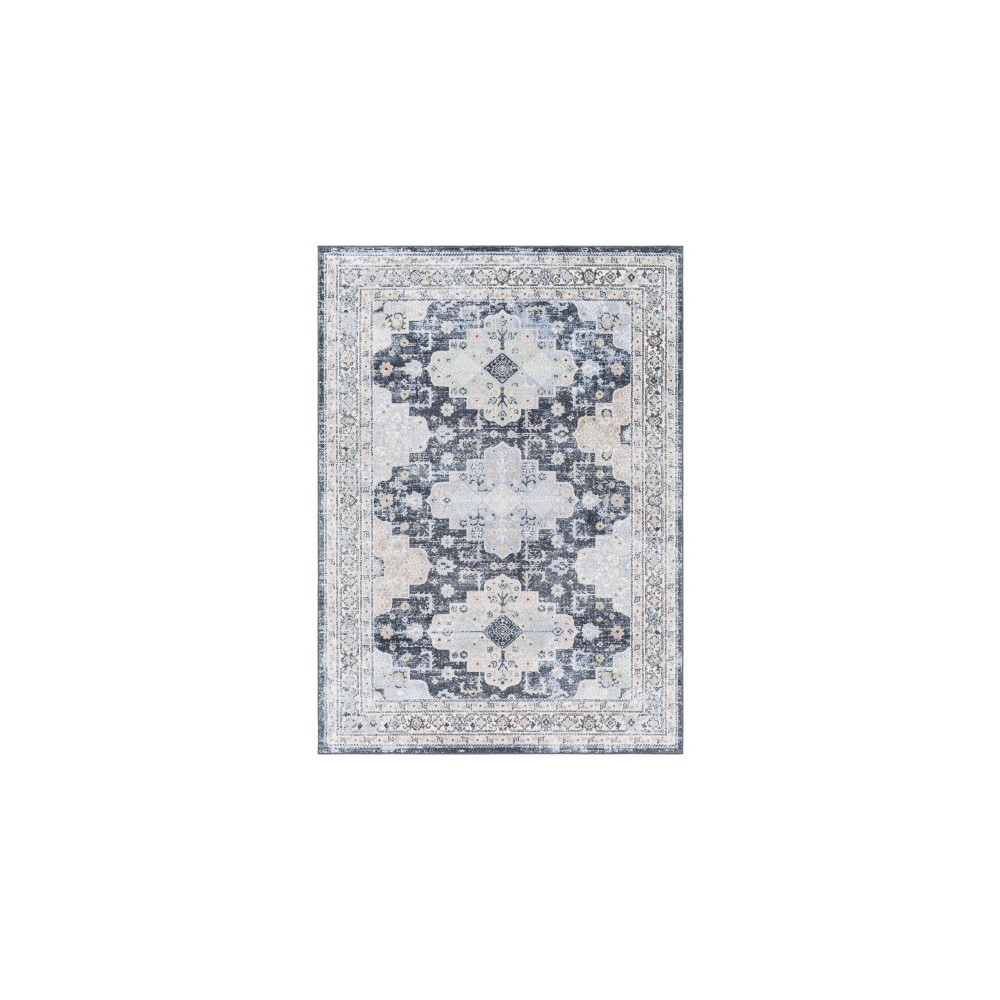 Surya Lavadora Lvr-2357 Rug 7'10" X 10'