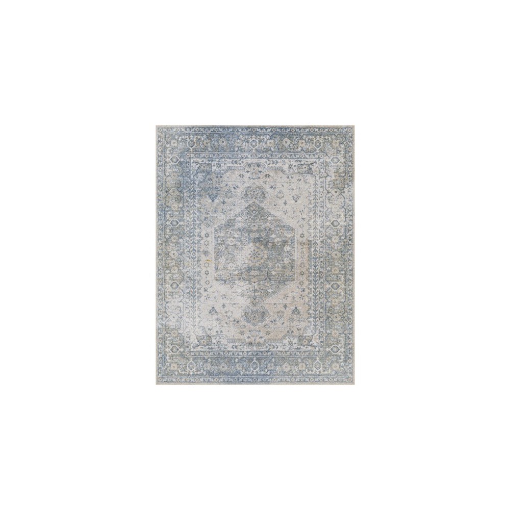 Surya Lillian Lll-2307 Rug 2' X 3'