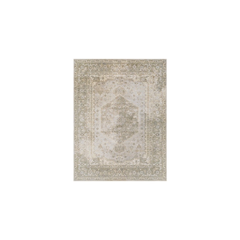 Surya Lillian Lll-2308 Rug 2' X 3'