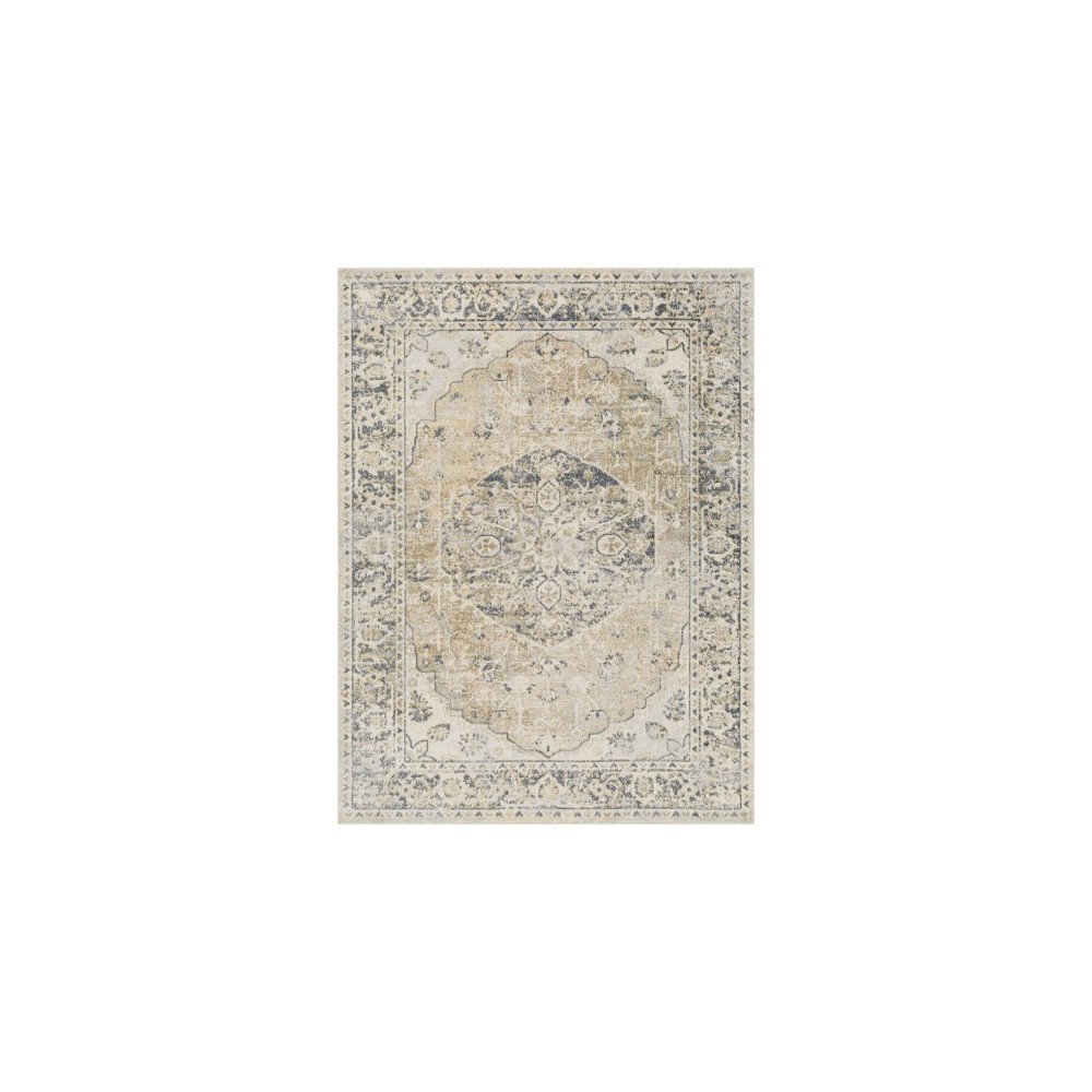 Surya Lillian Lll-2309 Rug 2'3" X 3'9"