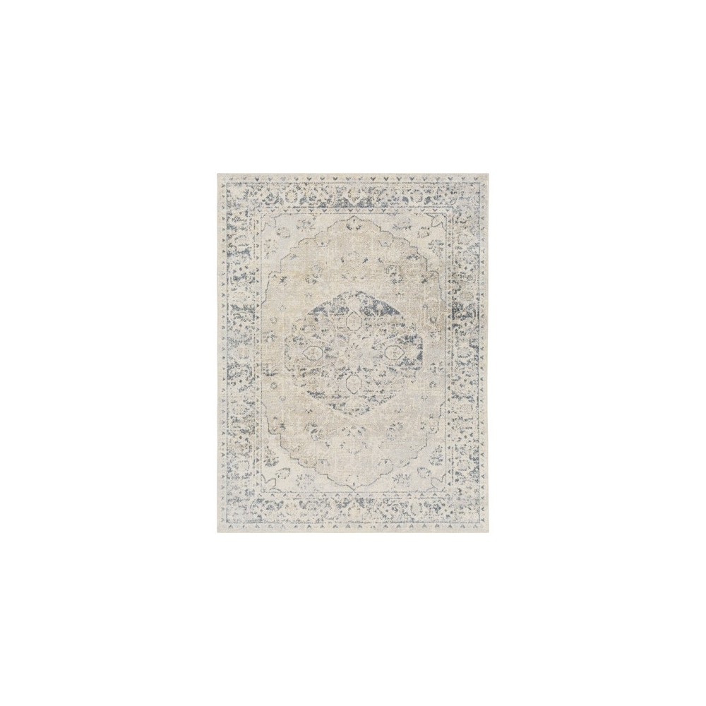 Surya Lillian Lll-2310 Rug 2' X 3' Surya Lillian Lll-2310 Rug 2' X 3'