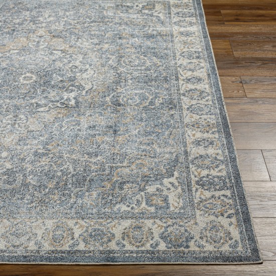 Surya Lillian Lll-2320 Rug 2' X 3'