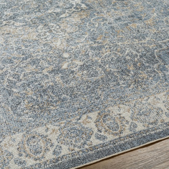 Surya Lillian Lll-2320 Rug 2' X 3'