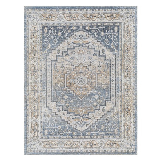 Surya Lillian Lll-2323 Rug 2' X 3'