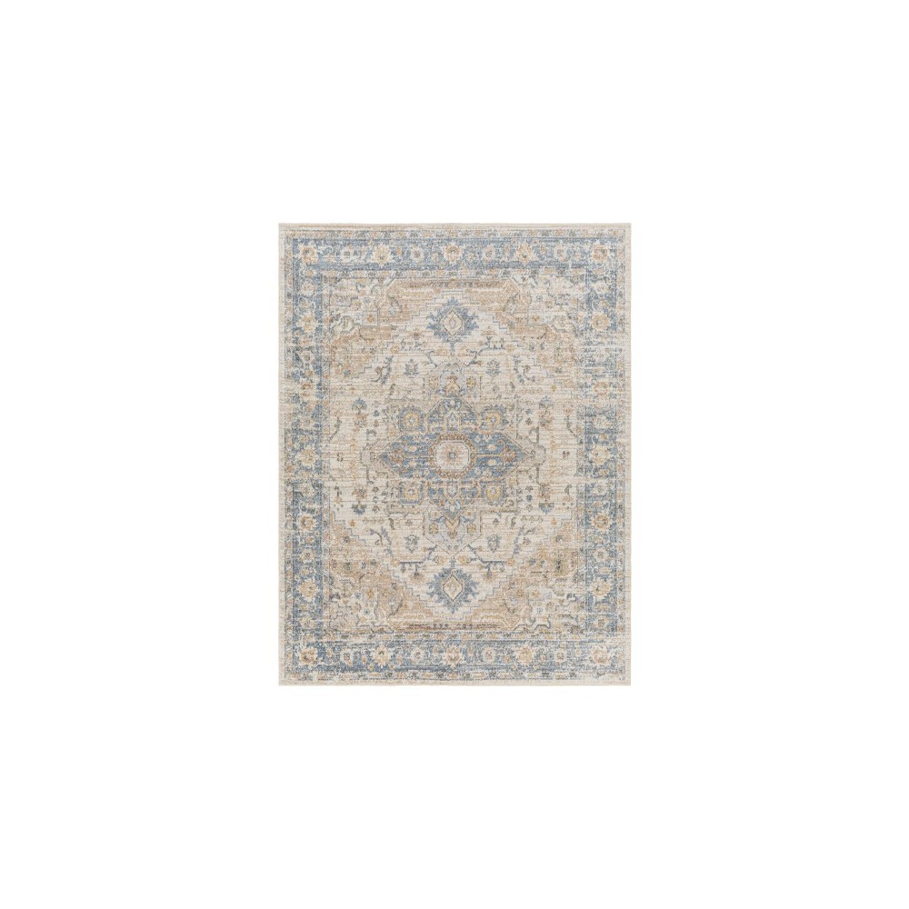 Surya Lillian Lll-2328 Rug 2' X 3'