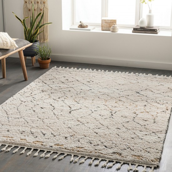 Surya Lisbon Lsb-2300 Tan Rug 5'3" X 7'