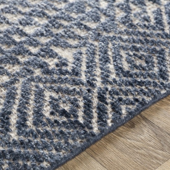 Surya Livorno Dark Blue Rug 12' X 15'