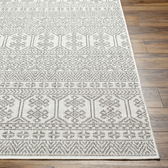 Surya Long Beach Lbh-2305 Rug 2'7" X 7'3"