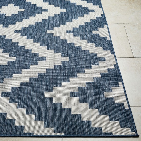 Surya Long Beach Lbh-2314 Rug 2'7" X 7'3"