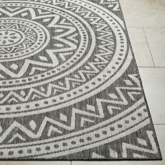 Surya Long Beach Lbh-2317 Rug 2'7" X 7'3"