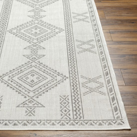 Surya Long Beach Lbh-2341 Rug 2'7" X 7'3"