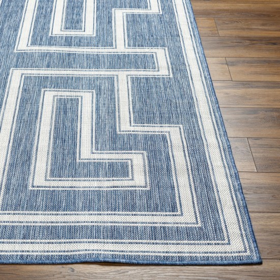 Surya Long Beach Lbh-2345 Rug 2'7" X 7'3"