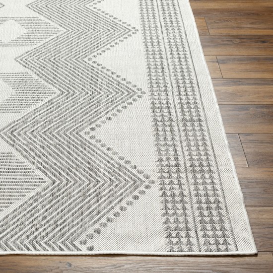 Surya Long Beach Lbh-2347 Rug 2'7" X 7'3"