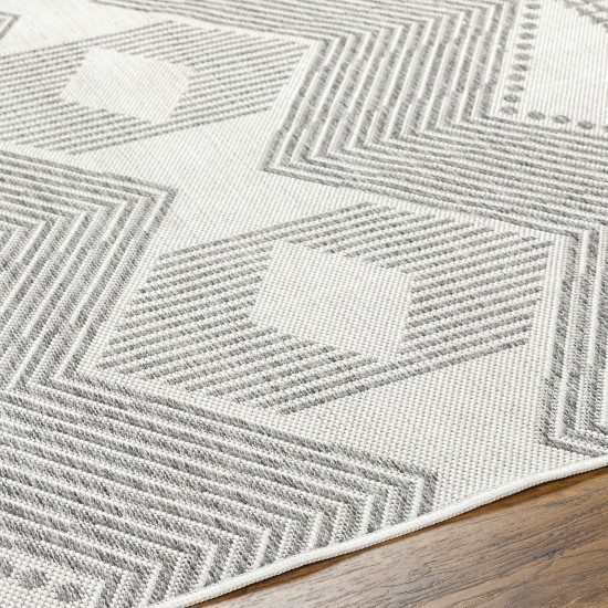 Surya Long Beach Lbh-2347 Rug 2'7" X 7'3"