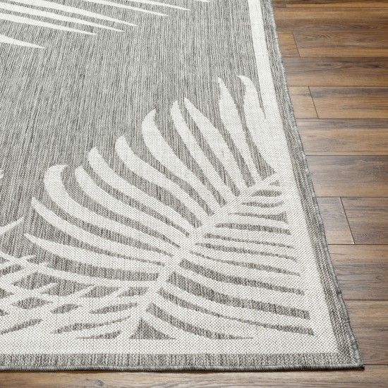 Surya Long Beach Lbh-2350 Rug 2'7" X 7'3"