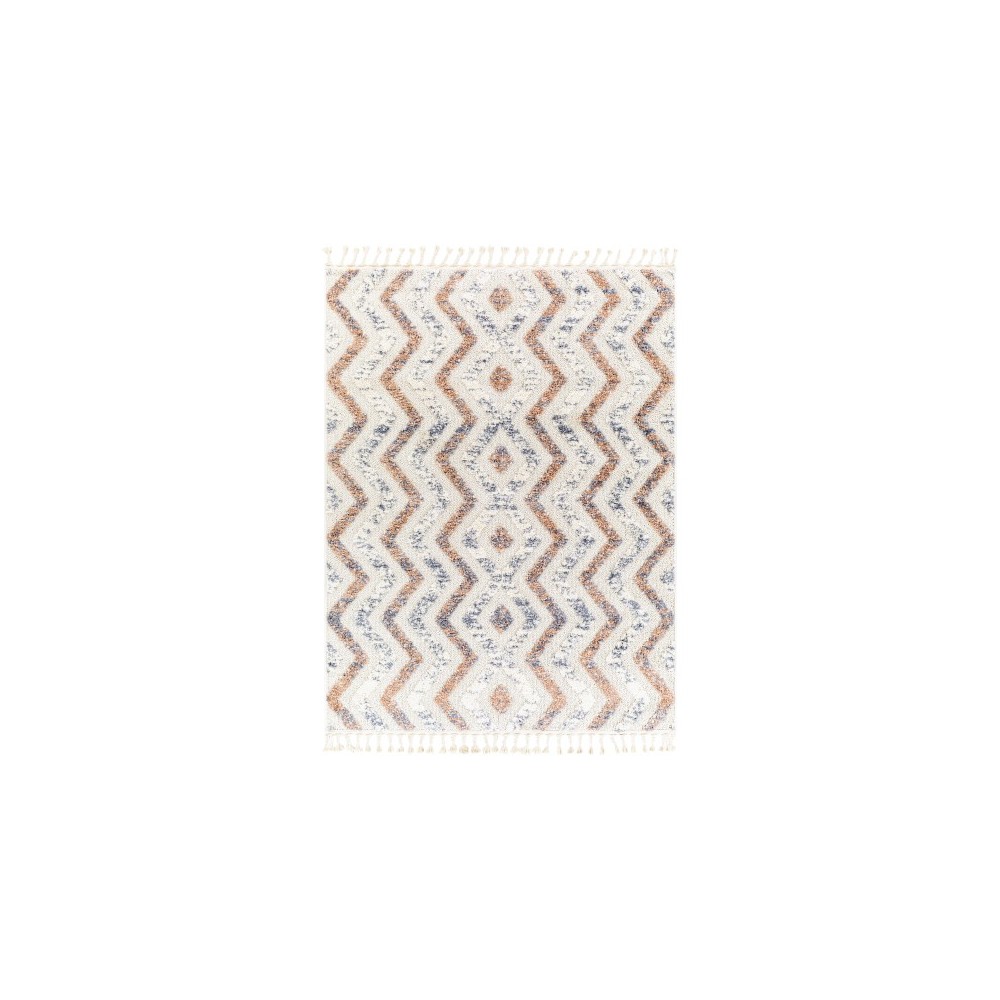 Surya Loopy Loo-2302 Rug 5'3" X 7' Surya Loopy Loo-2302 Rug 5'3" X 7'