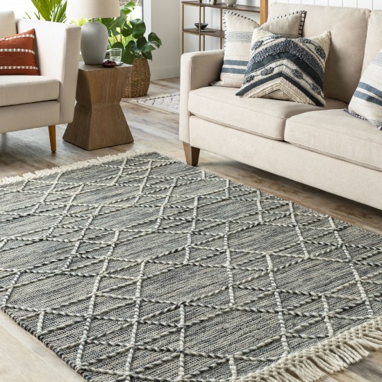 Surya Lucia Lci-2300 Cream Rug 2'3" X 3'9"