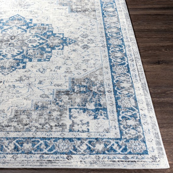 Surya Lustro Lsr-2326 Blue Rug 6'7" X 9'