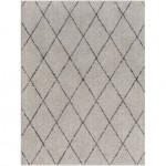 Surya Lykke Lkk-2302 Rug 2'7" X 4'