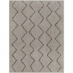 Surya Lykke Lkk-2304 Rug 2'7" X 4'