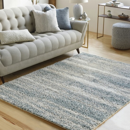 Surya Lyra Shag Lyr-2300 Blue Rug 2' X 3'