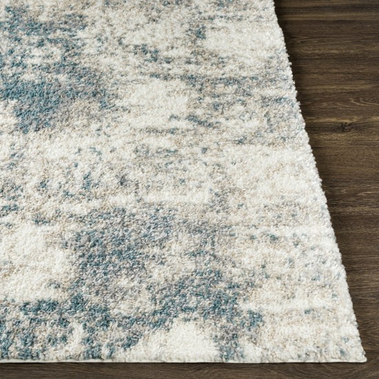 Surya Lyra Shag Lyr-2301 Blue Rug 2' X 3'