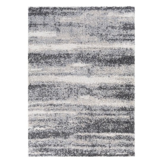 Surya Lyra Shag Charcoal Rug 2' X 3'