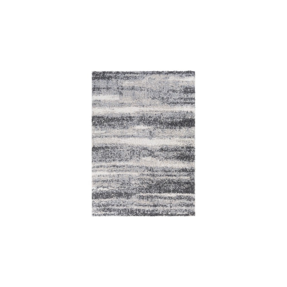 Surya Lyra Shag Charcoal Rug 2' X 3'