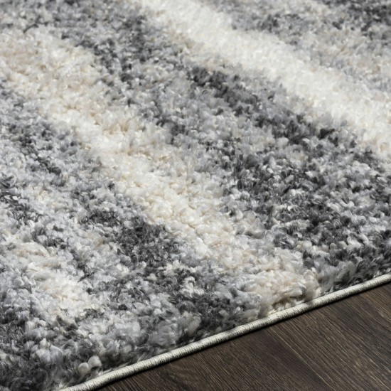 Surya Lyra Shag Charcoal Rug 2' X 3'