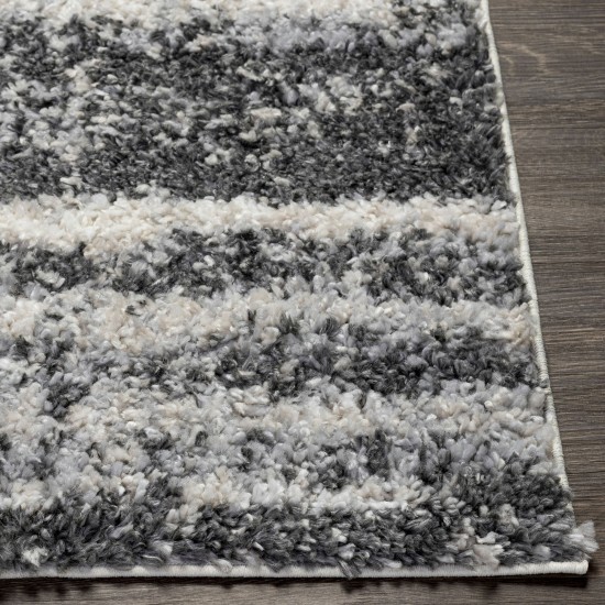 Surya Lyra Shag Charcoal Rug 5'3" X 7'3"