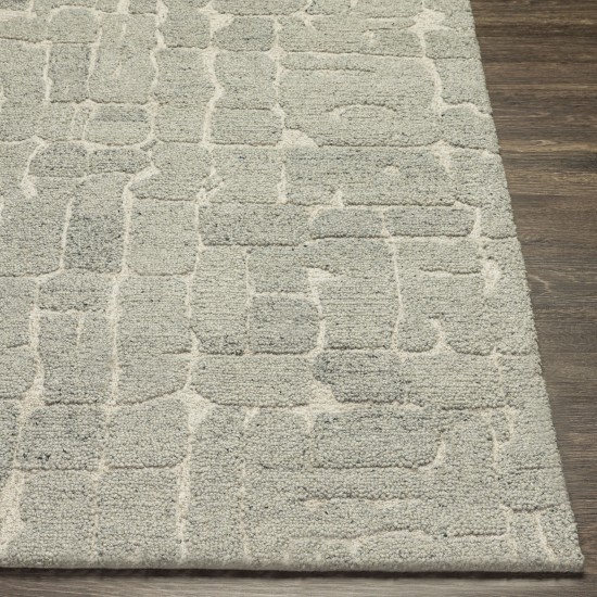 Surya Madelyn Myn-2305 Light Gray Rug 2' X 3'