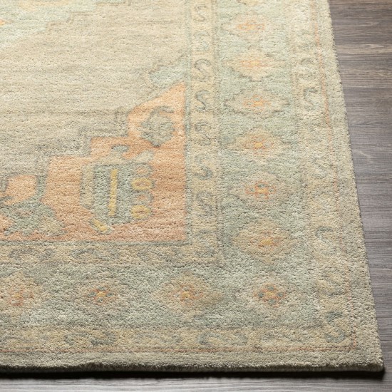 Surya Malatya Mty-2301 Sage Rug 3'6" X 5'6"