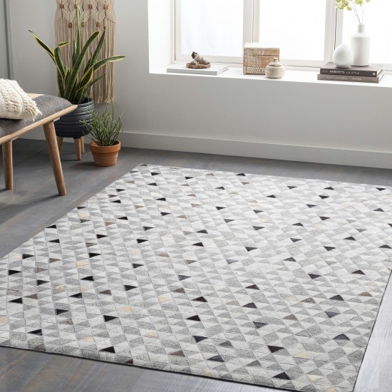 Surya Medora Mod-1025 Gray Rug 2' X 3'