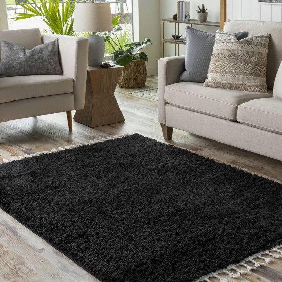 Surya Merino Black Rug 3'3" X 4'5"