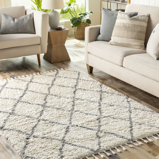 Surya Merino Mro-2303 Gray Rug 3'3" X 4'5"