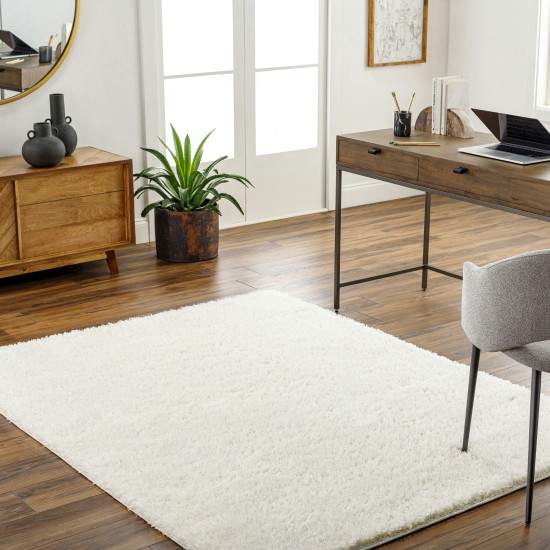 Surya Moda Shag Mog-2302 Rug 3'11" X 5'11"