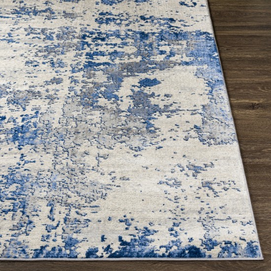 Surya Monaco Moc-2334 Blue Rug 4'3" X 5'11"