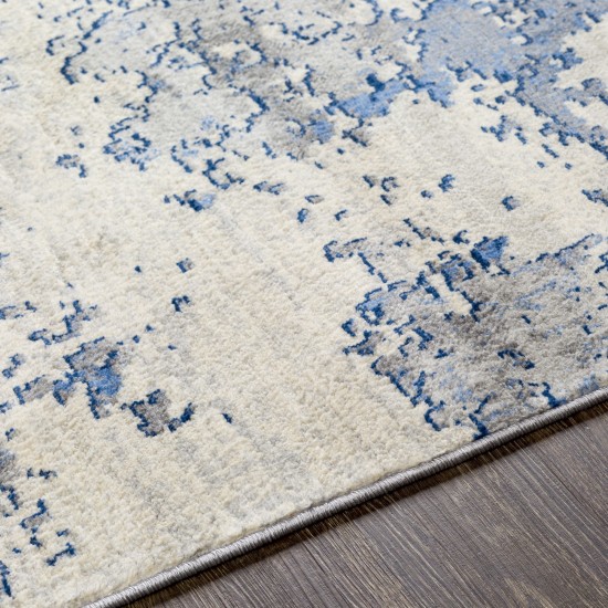 Surya Monaco Moc-2334 Blue Rug 4'3" X 5'11"