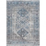 Surya Monte Carlo Mnc-2312 Light Gray Rug 2' X 3'